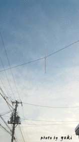 tu.gif